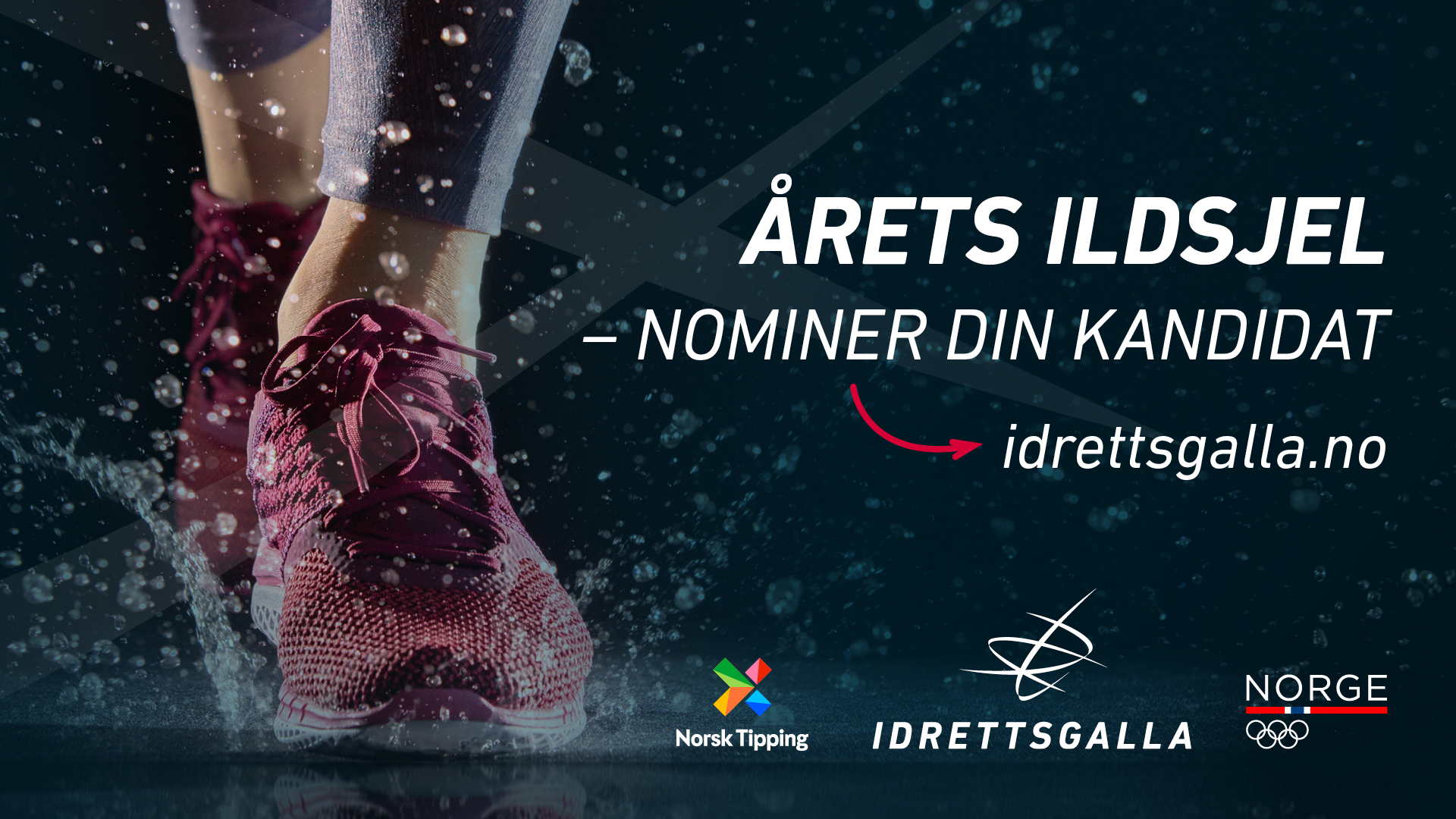 Årets ildjsel 